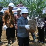 85sawit-merangin-2021