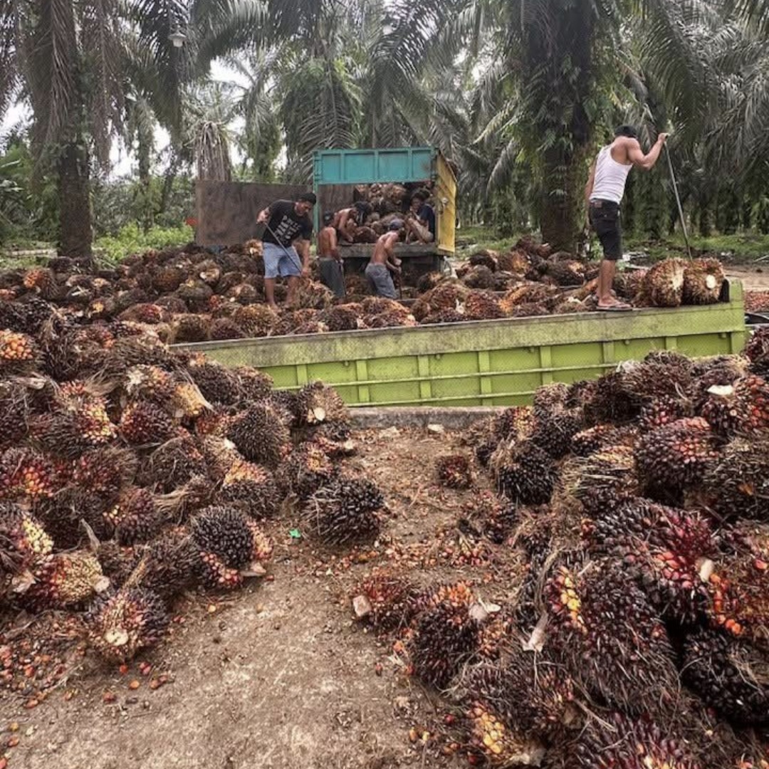 Loading Ram di Kuamang Kuning