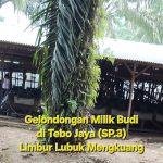 Screenshot_20260209_131822_Gallery