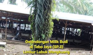 Screenshot_20260209_131822_Gallery