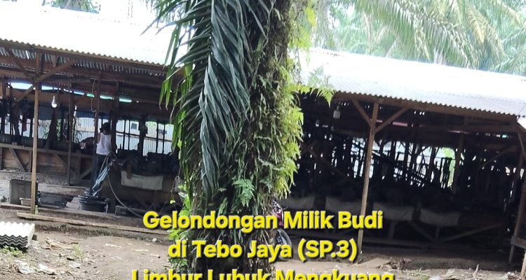 Screenshot_20260209_131822_Gallery