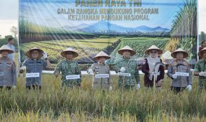 IMG-20260717-WA0094