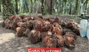 Ilustrasi